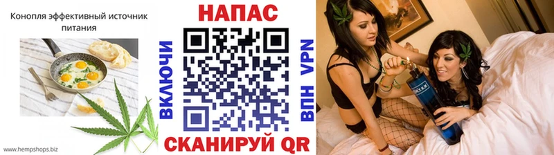 магазин продажи наркотиков  Малоархангельск  Cannafood конопля 