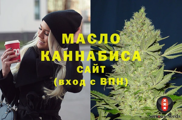 гидра Армянск