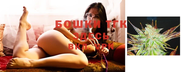 тгк Арсеньев