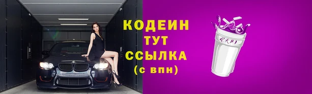 тгк Арсеньев