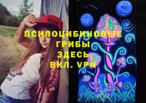 тгк Арсеньев