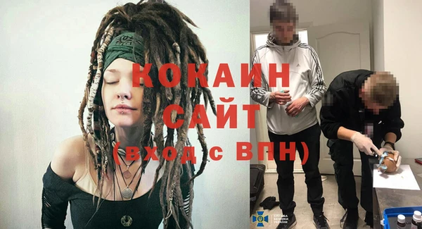 тгк Сатка