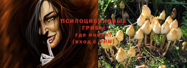 тгк Арсеньев